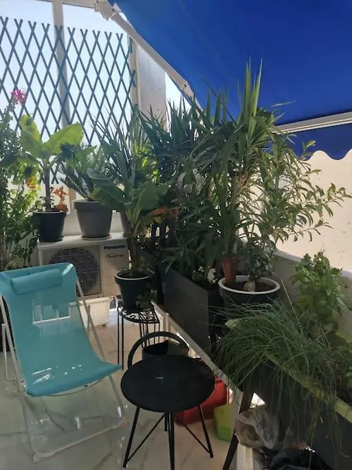 Marina Dream Apartment Toulon